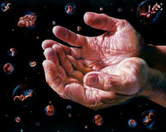 screen-shot-2017-01-12-at-9-24-51-pm