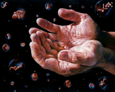 screen-shot-2017-01-12-at-9-24-51-pm